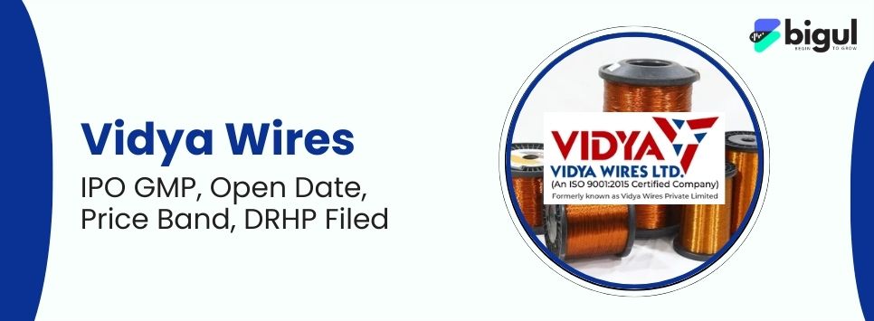 Vidya Wires IPO